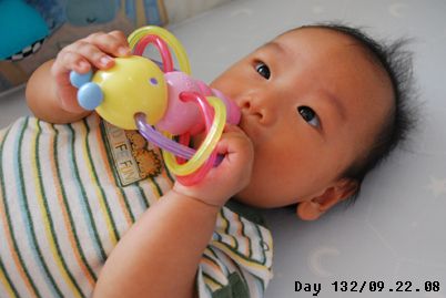快長牙了。老想拿個東西咬咬