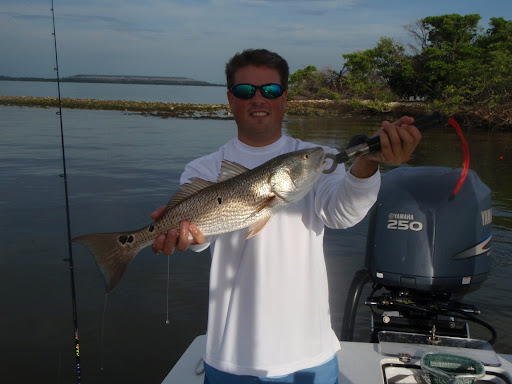 Nice Refish