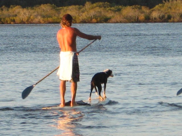 [noosaville 027[2].jpg]