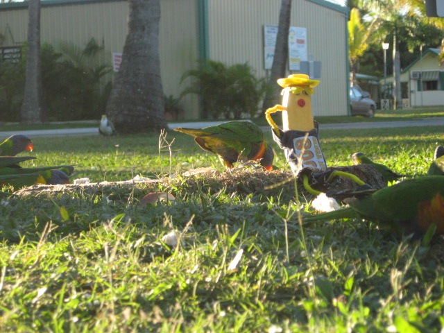 [MACKAY0642.jpg]