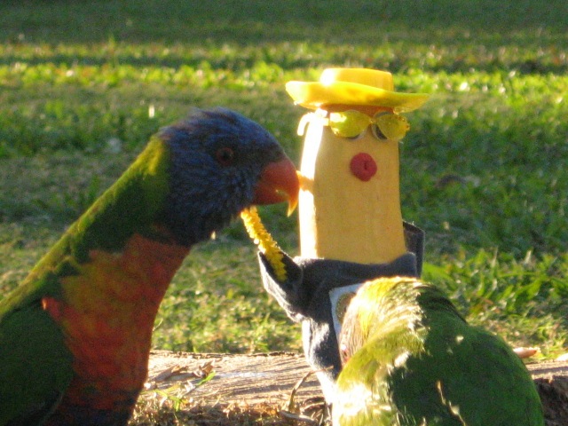 [MACKAY0562.jpg]