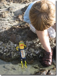 CAPE HILLSBOROUGH 048