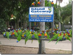 ISLAND GATEWAY 010