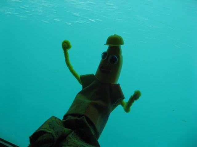 [VOYAGER0282.jpg]