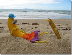 CASSADY BEACH 045