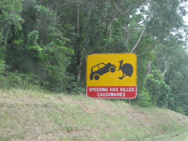 [CASSADYBEACH0532.jpg]