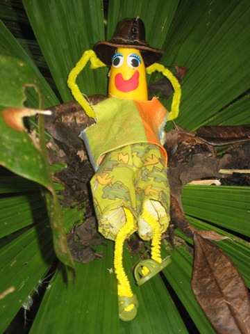 [DAINTREE0932.jpg]