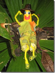 DAINTREE 093