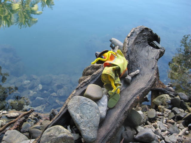 [DAINTREE0442.jpg]