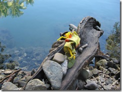 DAINTREE 044