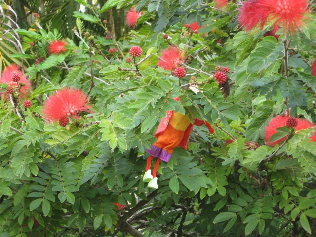 [WONGABEACH0442.jpg]