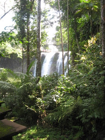 [PARONELLAPARK0212.jpg]