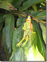 PARONELLA PARK 028