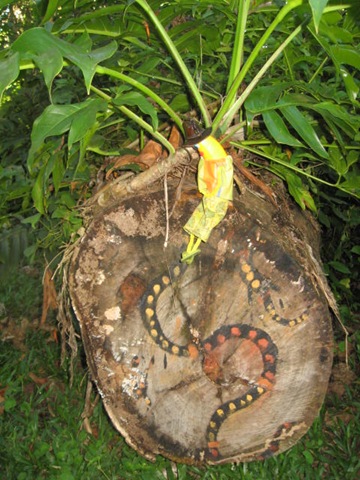 [PARONELLAPARK0312.jpg]
