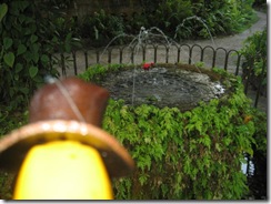 PARONELLA PARK 072