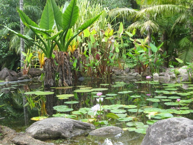 [COOL WATERS 014[2].jpg]