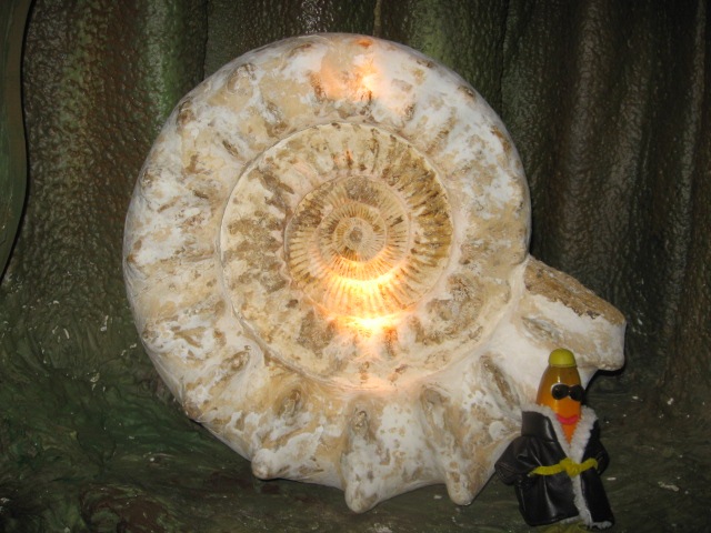[ATHERTON0262.jpg]