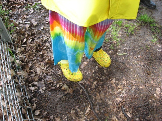[YELLOWDAY0152.jpg]