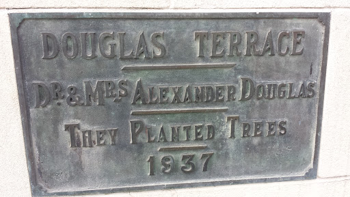 They Planted the Trees 1937