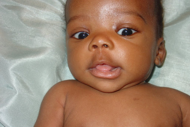Gavin