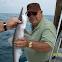 Dusky Shark