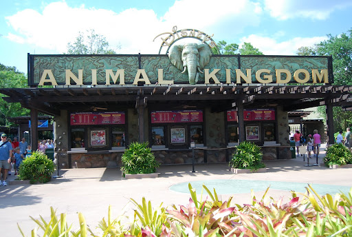 Disney's Animal Kingdom,1��,by lydiatoronto