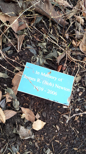 James Bob Newton Memorial Tree