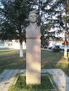 Memorial Naiden Raikov 1898-1934