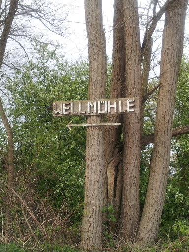Wellmühle