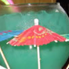 Fish Bowl