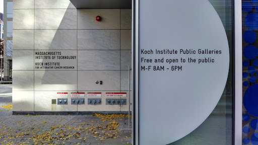 Koch Institute Public Galleries