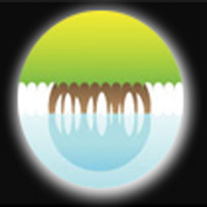 Cedees Online.apk 1.0.4