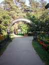 HZVA Zoo Arch