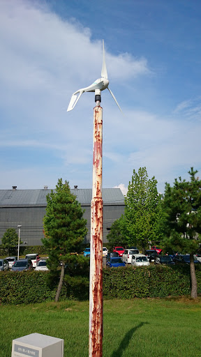 自然に優しい風力発電