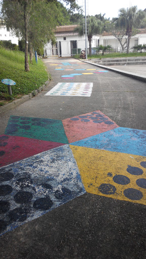 Colorful Path