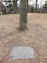 Milton C. Kay Memorial Tree