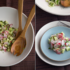 Hot radish and japanese cucumber salad