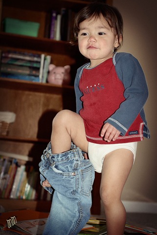 [stripper2logo6.jpg]