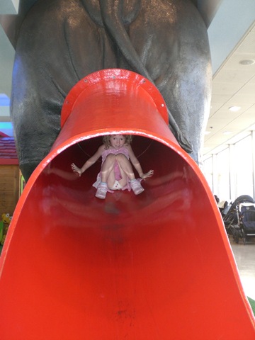 [75 elephant slide[4].jpg]