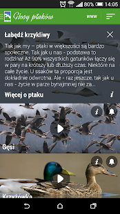 How to download Głosy ptaków lastet apk for pc