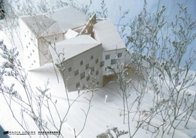 Нажмите, чтобы посмотреть в полный размер   Макет дома Radix (корень), архитектор Shu-Chang Kung