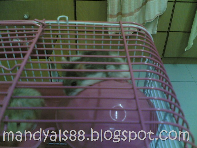 [12102008(021)[2].jpg]
