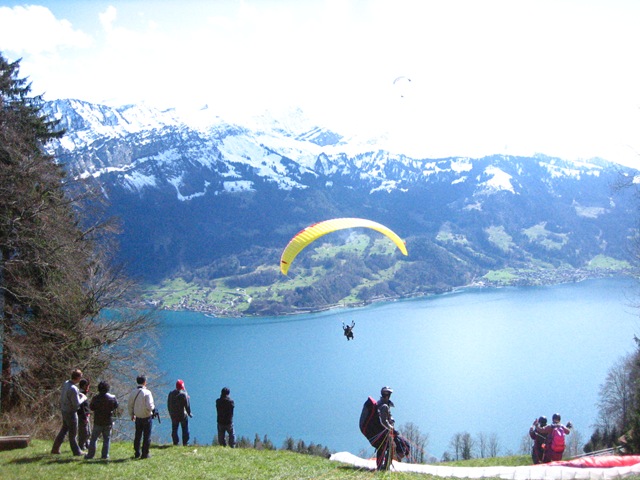 [IMG_31682.jpg]