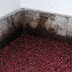 Winemaking: Sitting To Rest