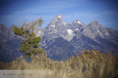 G_Teton  236.jpg