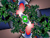 Fractal Art