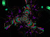 Fractal Art