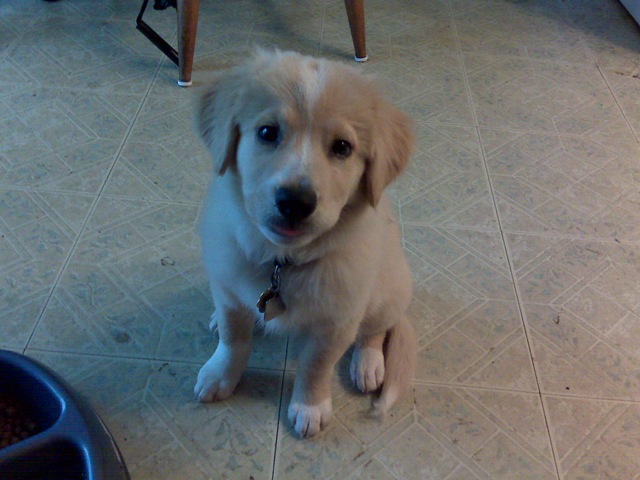 [mimi-aug-22-08[3].jpg]