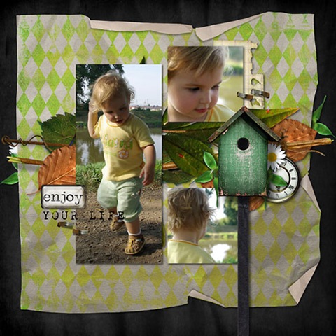 [enjoy-your-life[4].jpg]