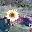 Matangie's Vegetable garden